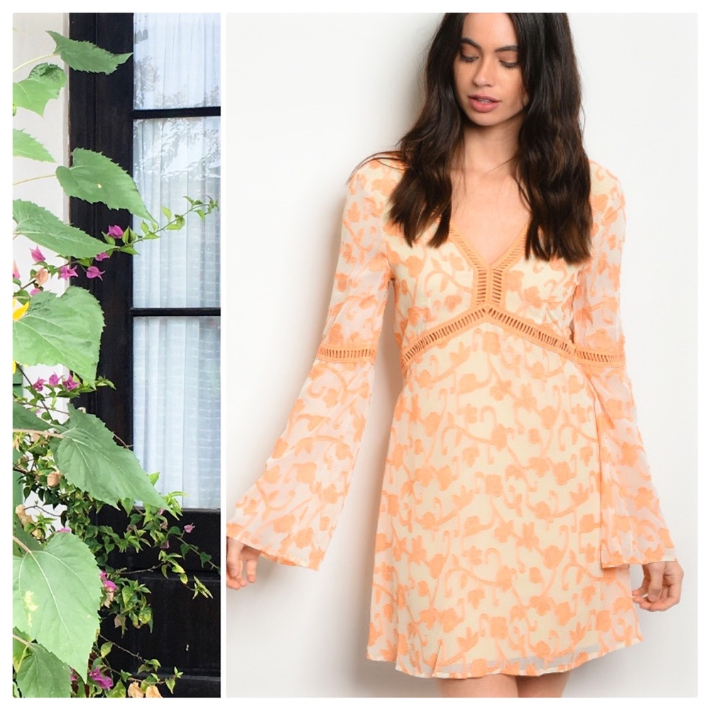 Kayla Peach Leaf Ivory Dress